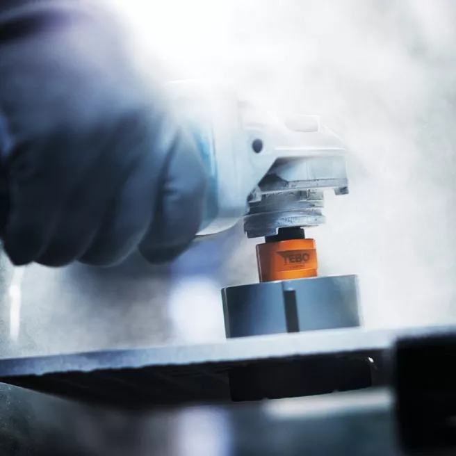 Forets diamantés Tebo