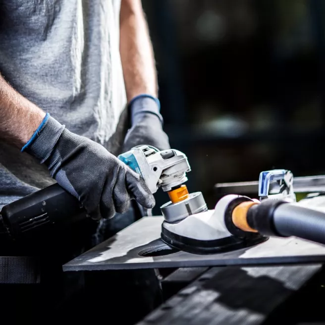 Forets diamantés Tebo